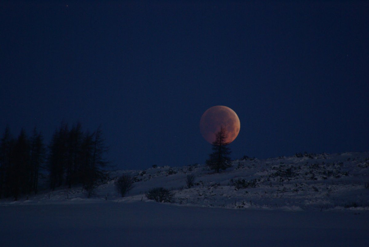 UK reeling-Best wishes to the Princess of Wales-in early treatment for cancer found in tests. Catherine born Jan 9th 1982 on the evening of a Total Lunar Eclipse,fully visible from the UK.(I remember the freezing cold, snow covered,clear skied Saturday in question very well).