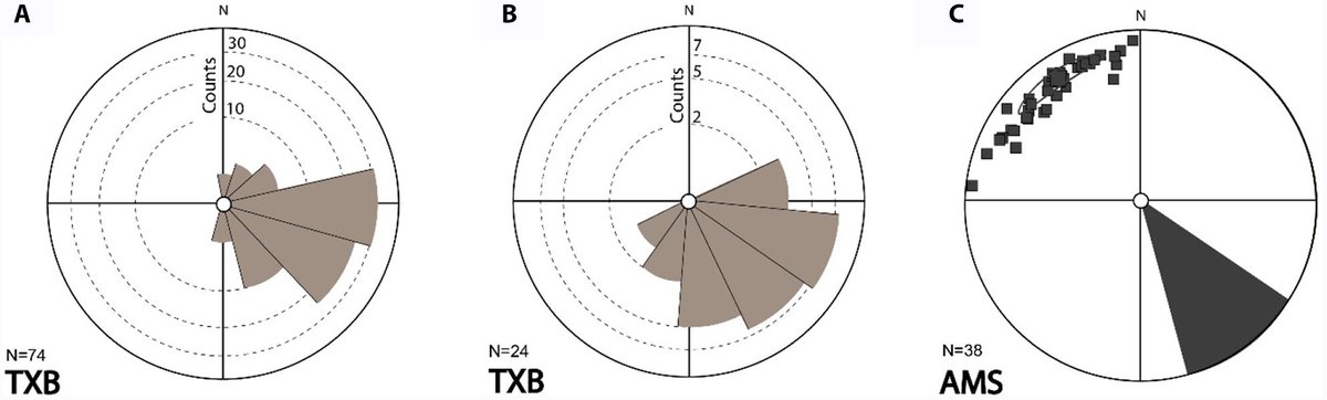 DepositRecord's tweet photo. New in TDR
New palaeocurrent analysis approach from two‐dimensional trough cross‐strata using photographs and anisotropy of magnetic susceptibility
Jasper Maars, Gijs van Dijk, Mark J. Dekkers, Hernández-Molina, Andreetto, Rodríguez-Tovar, Krijgsman
https://t.co/CBEvzol5U4 https://t.co/6x6MocqbEb