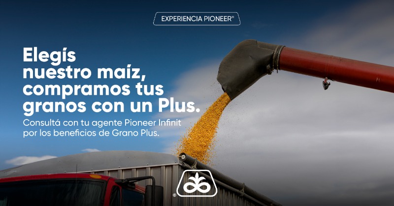 PioneerSemillas's tweet photo. Aprovechá el beneficio #GranoPlus ⚡️🌽
Con cada bolsa de maíz que comprás hoy, los granos que cosechás después valen más.

#ExperienciaPioneer, porque seguís seguimos 💪#SeguísSeguimos https://t.co/LRAyBOpJ2V