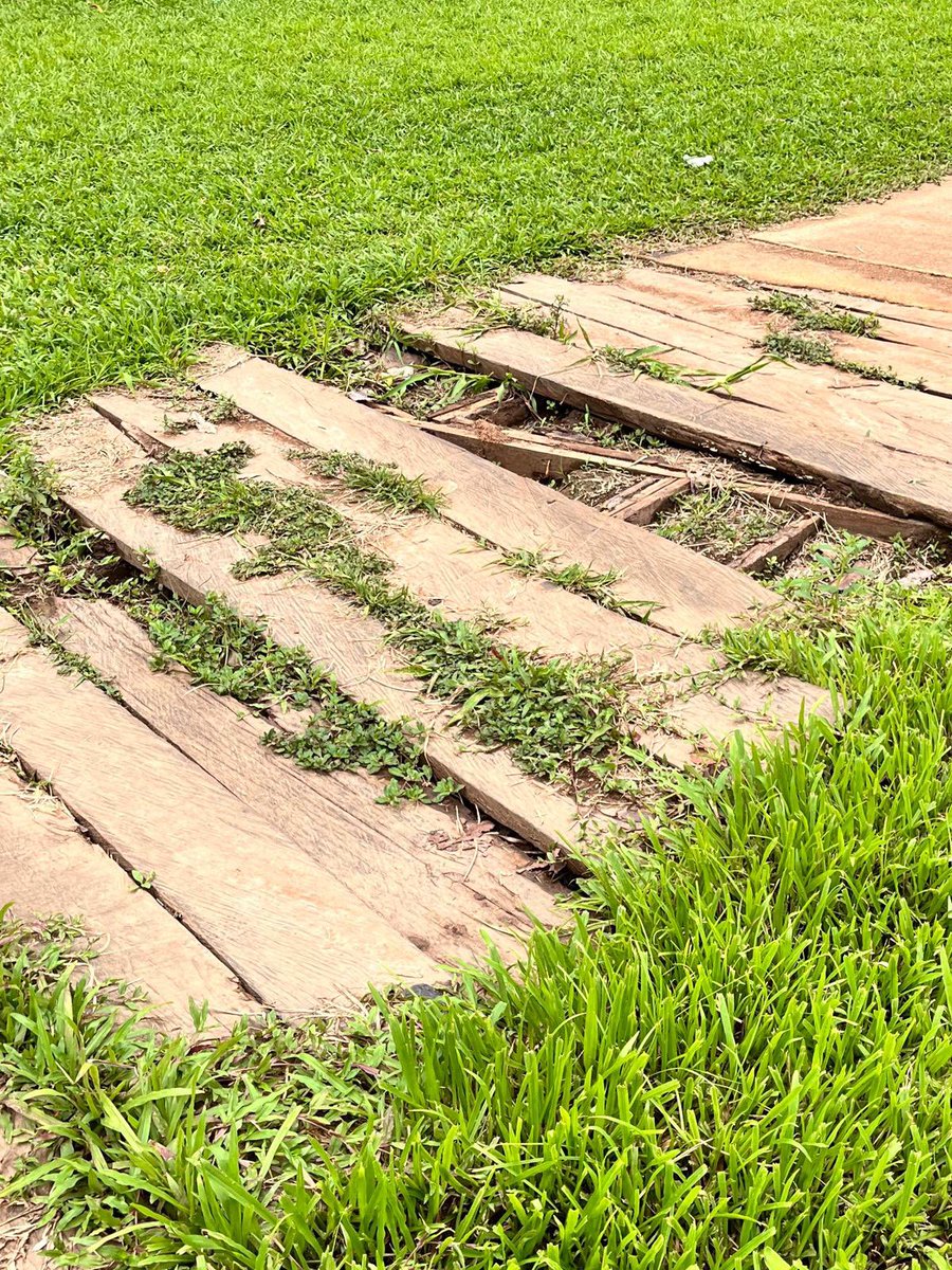 idrisanimasaun_'s tweet image. @Yorubaness is cappin on old pictures, this is the part that internet and @adesola_omotoso will not like me to show you. These were taken last week Friday.😂😂😂

#thewatchdog