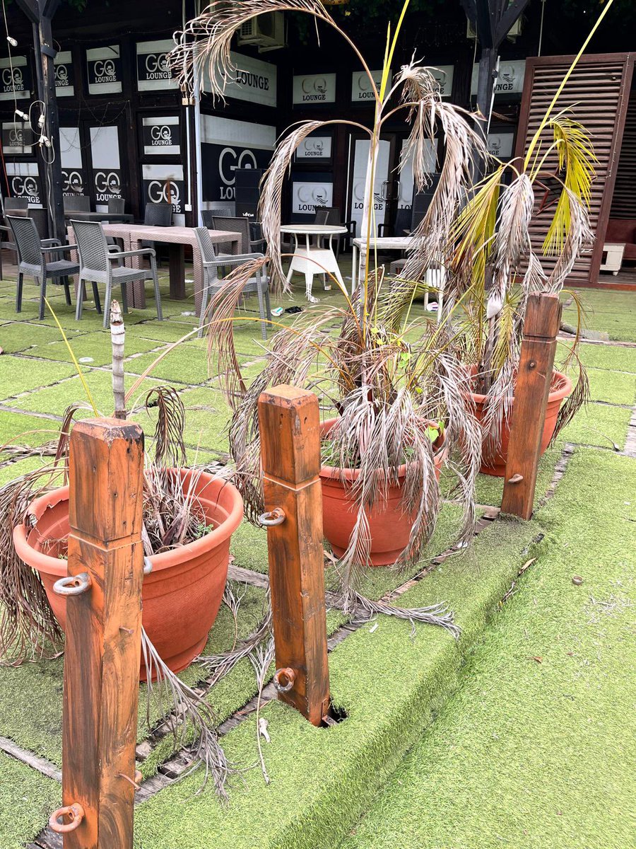 idrisanimasaun_'s tweet image. @Yorubaness is cappin on old pictures, this is the part that internet and @adesola_omotoso will not like me to show you. These were taken last week Friday.😂😂😂

#thewatchdog