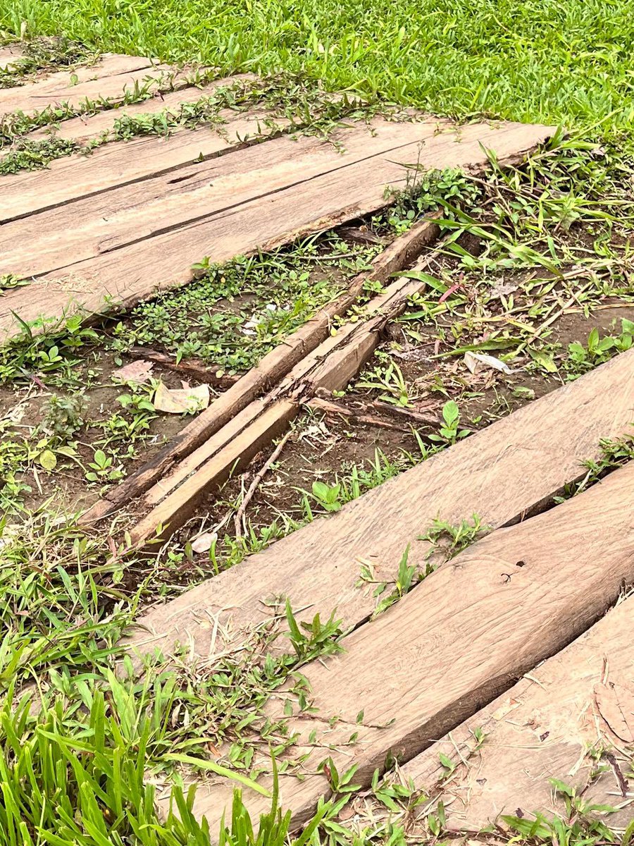 idrisanimasaun_'s tweet image. @Yorubaness is cappin on old pictures, this is the part that internet and @adesola_omotoso will not like me to show you. These were taken last week Friday.😂😂😂

#thewatchdog