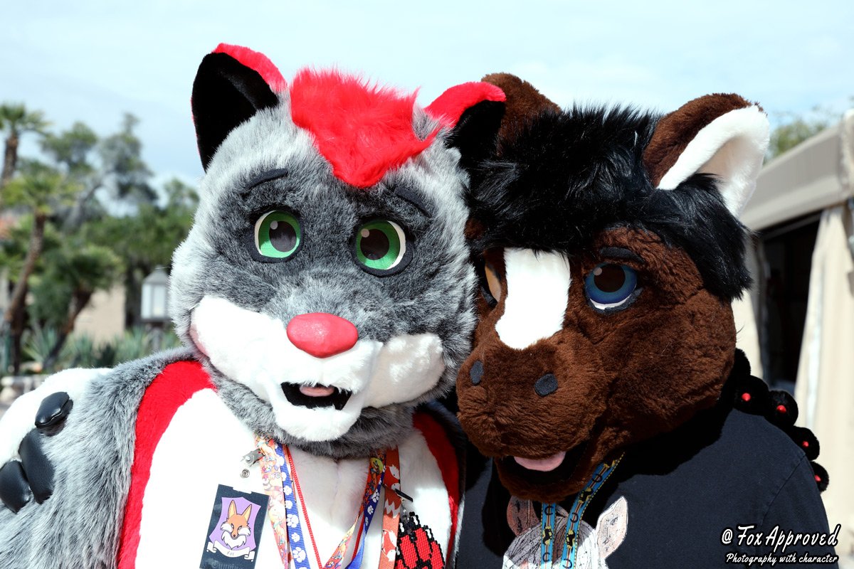 NokieMissions's tweet photo. Wow, #FursuitFriday has come to make the rounds again. Here's the first ever picture taken, of @DesertHorsey and I in full suit. ๐
๐ท: @FoxApproved
#furryfandom #fursuits #fursuiters #furries #pdfc2019 https://t.co/1Cy2kdlGpJ