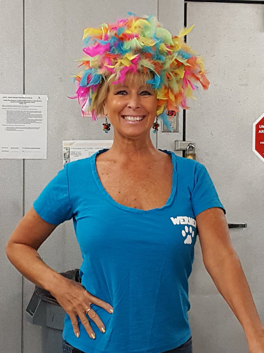 PSD Child Nutrition tweet media