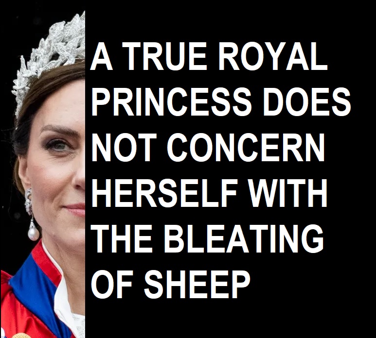 IAMDINGSOC's tweet photo. #LongLiveKate  #SussexSquad https://t.co/2E06mCUZWJ