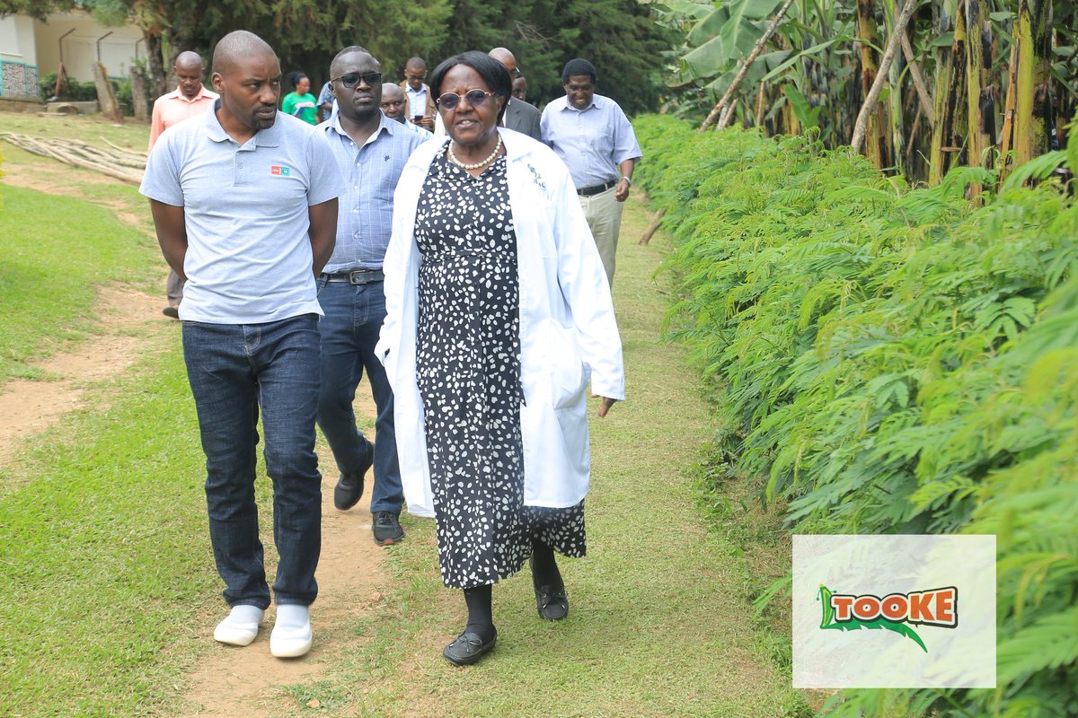 birdcuganda's tweet photo. @birdcuganda DG @floriemura welcomed a team from @nextmediaug led by the Manager, Head of Partnerships @benmwine who toured the TBI plant in Nyaruzinga, Bushenyi.
#Tooke
#NbsTelevision
#BIRDC
#GreenBanaValueAddition
#NextMediaGroup
@KKariisa https://t.co/sVwCEkZNzV