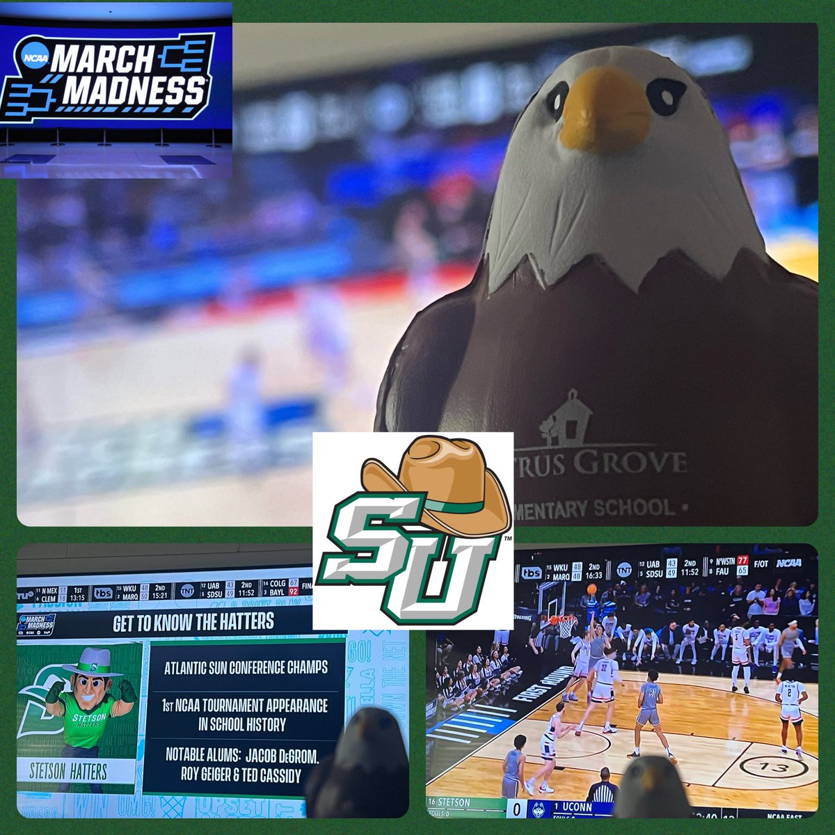 Squeagle has already started his adventures with staff and students <a href="/CitrusGrove_VCS/">Citrus Grove Elementary, Deland FL</a> . To kick things off, cheering on <a href="/StetsonHatters/">Stetson Hatters</a> <a href="/StetsonMBB/">Stetson Men’s Basketball🌴</a> <a href="/MarchMadnessMBB/">NCAA March Madness</a>…Go Hatters! 💚 #cgeeagles #GoHatters 🏀