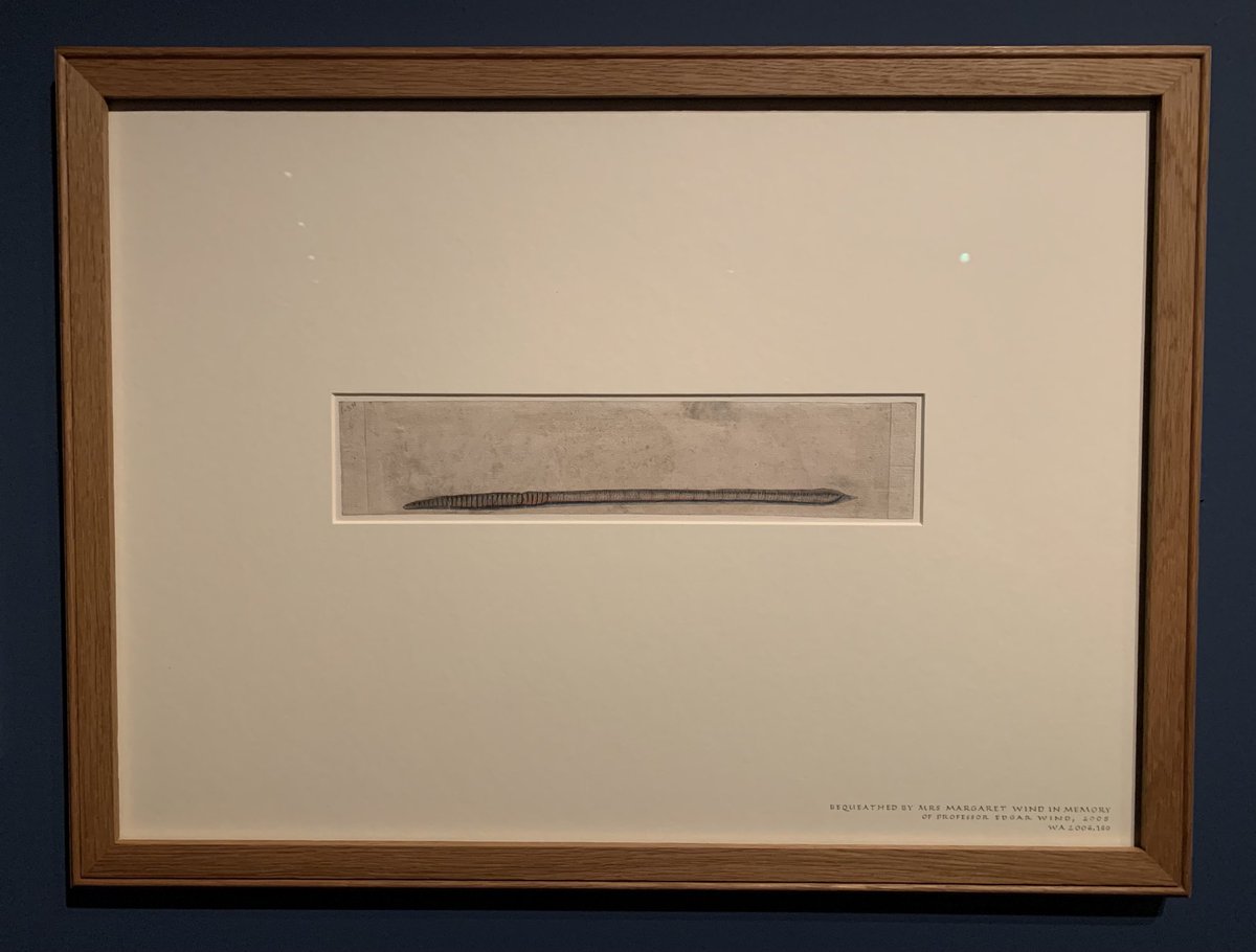 William Whyte (@william_whyte) on Twitter photo We should have more portraits of worms. This is in the great new exhibition <a href="/AshmoleanMuseum/">Ashmolean Museum</a> We should have more portraits of worms. This is in the great new exhibition <a href="/AshmoleanMuseum/">Ashmolean Museum</a>