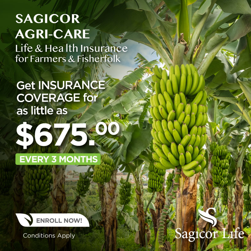 SagicorJa's tweet photo. Farmers and Fisherfolk, you work hard to provide for us and we are here to provide for you. Protect yourself and your loved ones with Agri-Care, affordable critical illness and life insurance coverage.