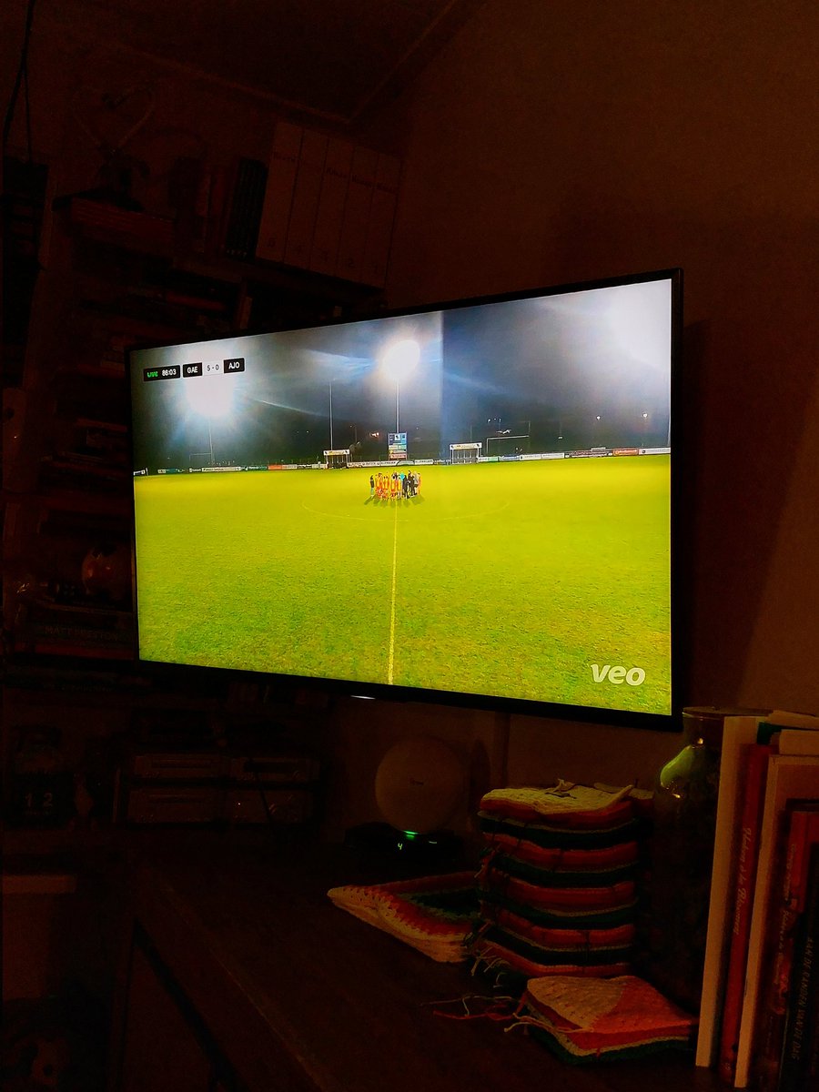 Annerieke Vogel-Some tweet media