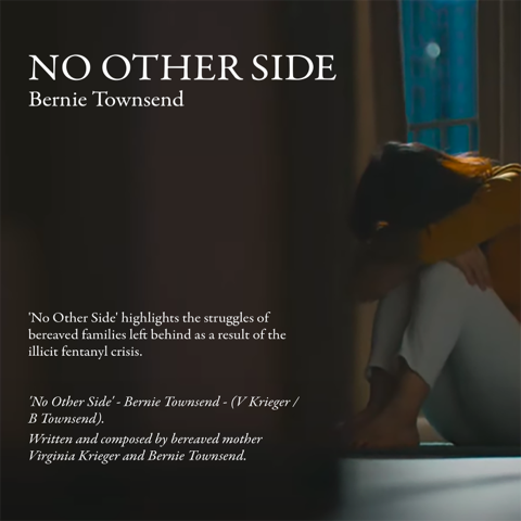 VERSE 1 - LINES 5 and 6 - 'Fentanyl killed more Americans than Vietnam did in ten - The government looks away so it happens again and again'' - 'Strangers In Their Own Land' (Bernie Townsend) - Please view my video 'NO OTHER SIDE' - (Bernie Townsend) - in support of efforts to