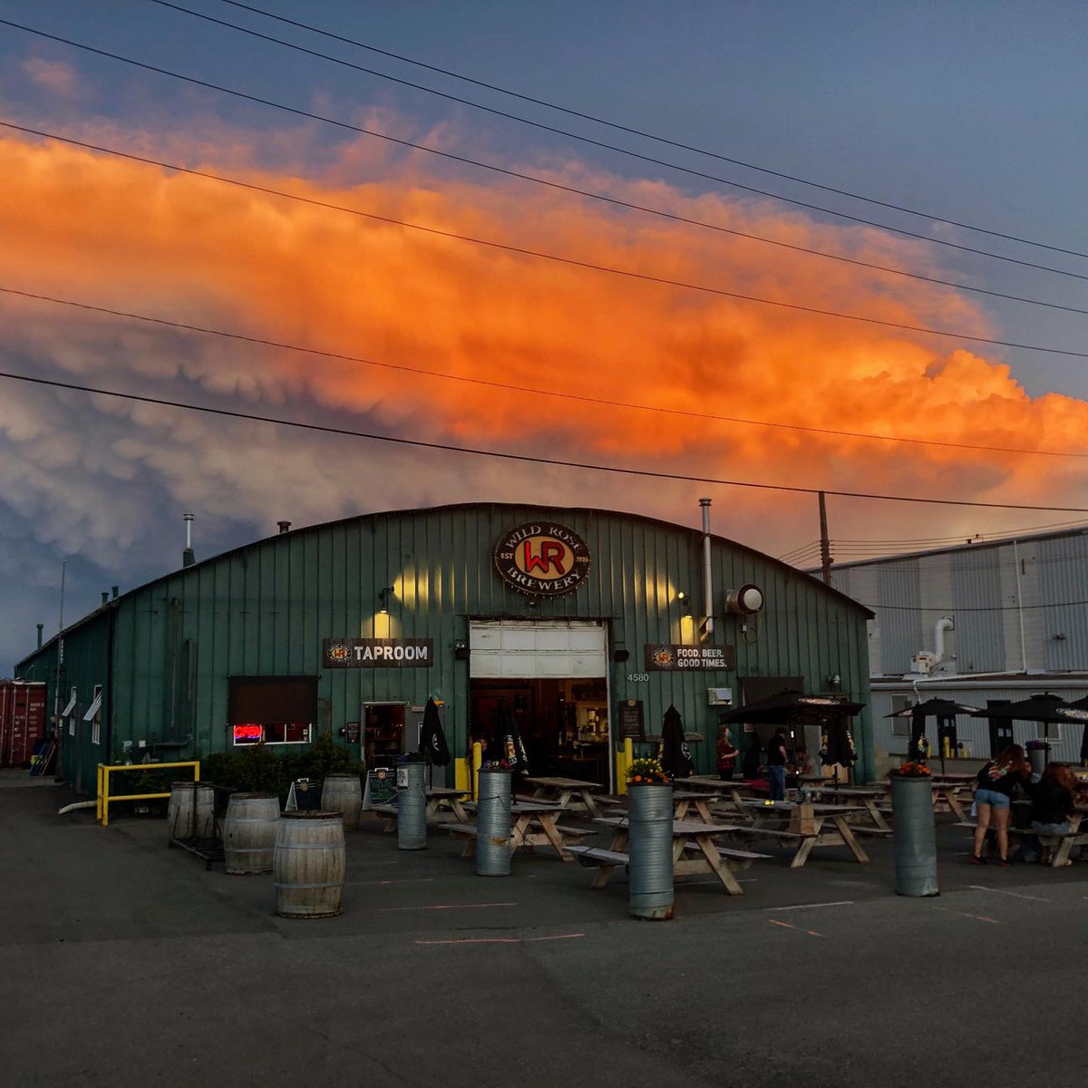 "Calgary's Wild Rose Brewing began in the basement. Literally."

Check out the fantastic Brewery Profile from <a href="/TheDonOfBeer/">🍻🍻 Don Tse 🍻🍻</a> on <a href="/WildRoseBrewery/">Wild Rose Brewery Ltd</a> in the latest issue: poured.ca/issues/2024/wi…

-
Photos courtesy of Wild Rose Brewery
