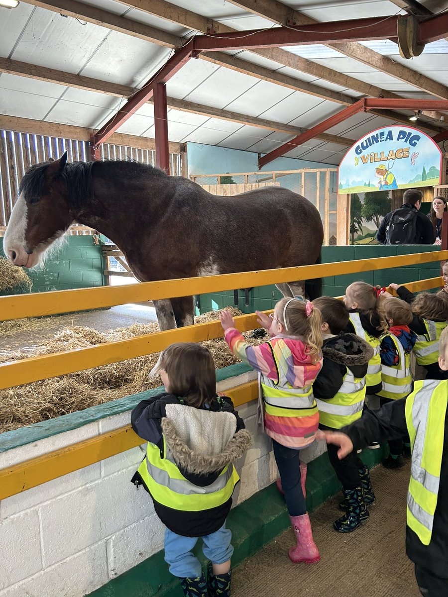 Nursery & Reception Bridgewater Park tweet media