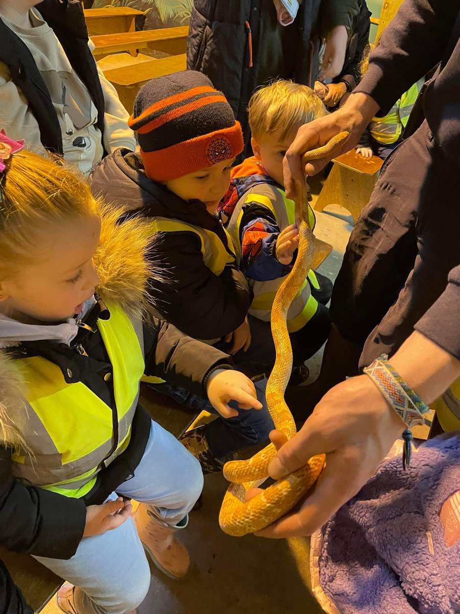 Nursery & Reception Bridgewater Park tweet media