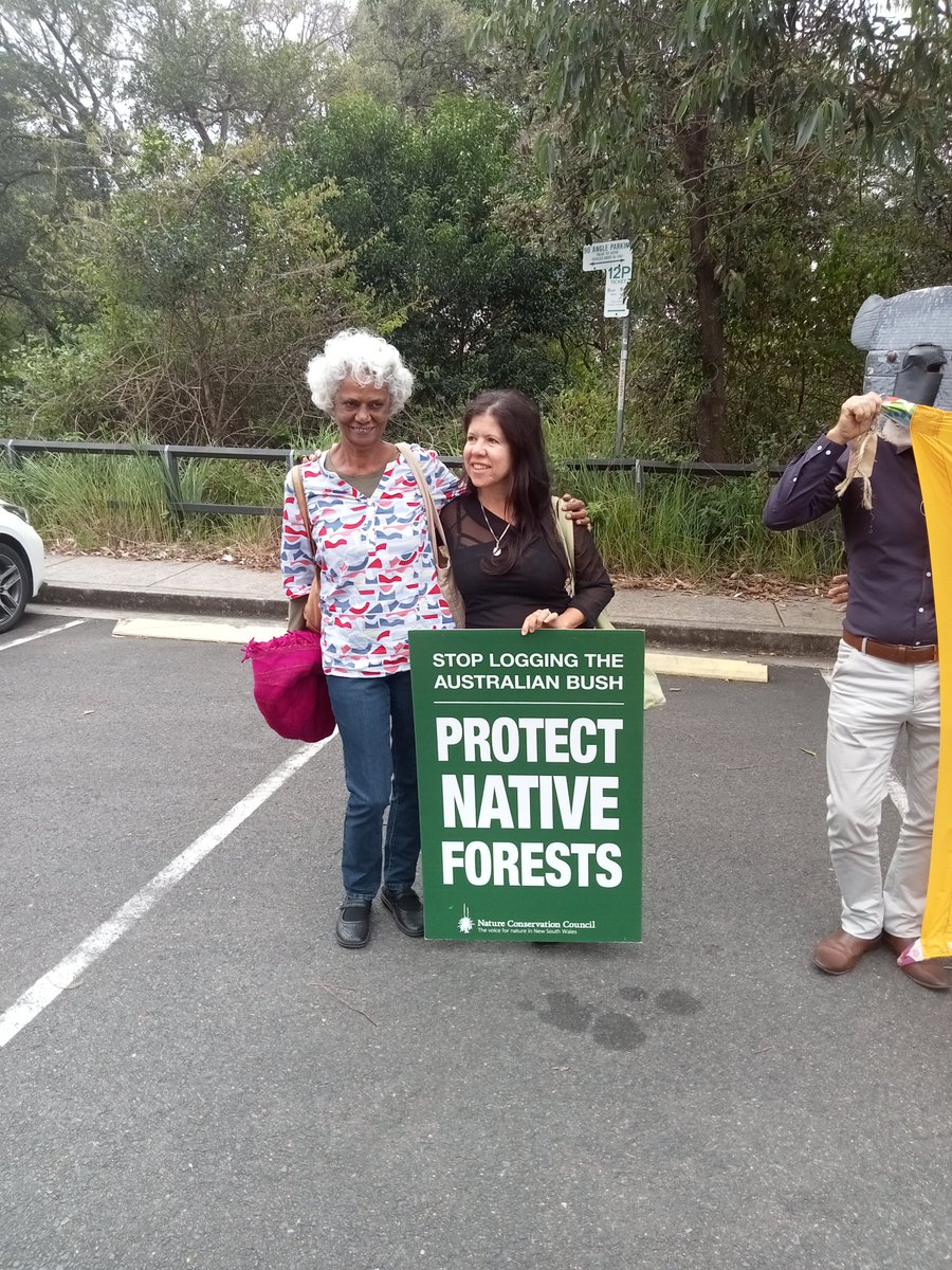 CentreMehi's tweet photo. At the NSW #KoalaSummit yesterday. We want to save our Guuda? Then we need to stop chopping down their trees and reduce our carbon emissions. Science hasn't caught up with the knowledge of our Mother, said Yuin man Dan Morgan. #DecoloniseScience https://t.co/SuZ0CFkNat