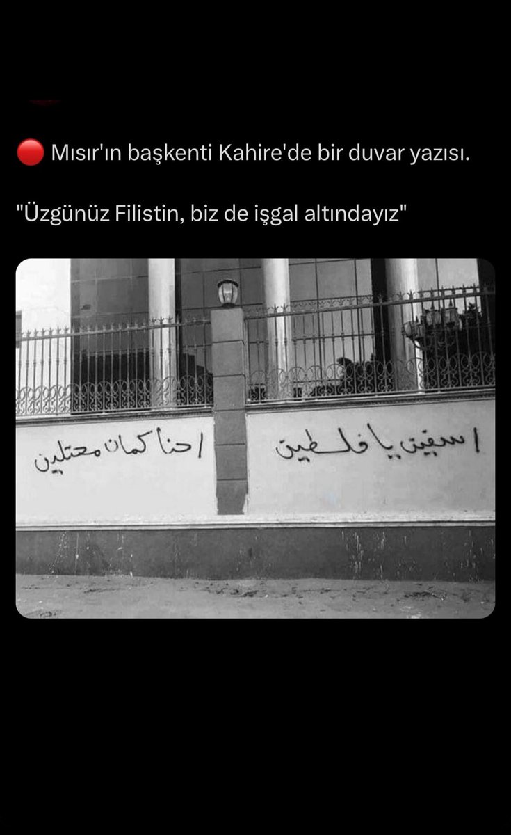 Hatice Öktem (@oktemhatice) on Twitter photo 