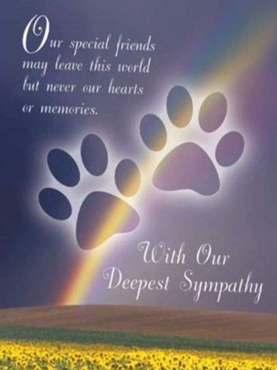 ☆☆#HealingPurrsPawty☆☆ #wlf
Wif #LUVnREMEMBRANCE 💞🌈🌟
@CatnPitEWrnglr furcuz Sarah 🐈
@roguecats7 Rusty 🐈
@SheridanAlcock Mr. Rocky 🐈
@Artemisapphire Meghan 🐈
@MelissaLey3 feral brofur Greyson 🐈