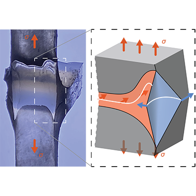 Physical Review X (@physrevx) on Twitter photo The fracture properties of elastomers depend on sample thickness because of the surprisingly three-dimensional nature of the fracture process.
Read go.aps.org/43tiSgg
<a href="/RobStyleSoftMat/">Rob Style</a> <a href="/SoftLiv_Cornell/">Laboratory of Soft and Living Materials</a> <a href="/RongLong8/">Rong Long</a> <a href="/RongLong8/">Rong Long</a> <a href="/CornellMSE/">Materials Science and Engineering at Cornell</a> <a href="/CornellPhysics/">Cornell Physics</a> <a href="/CUEngineering/">CU Boulder Engineering 🦬</a> The fracture properties of elastomers depend on sample thickness because of the surprisingly three-dimensional nature of the fracture process.
Read go.aps.org/43tiSgg
<a href="/RobStyleSoftMat/">Rob Style</a> <a href="/SoftLiv_Cornell/">Laboratory of Soft and Living Materials</a> <a href="/RongLong8/">Rong Long</a> <a href="/RongLong8/">Rong Long</a> <a href="/CornellMSE/">Materials Science and Engineering at Cornell</a> <a href="/CornellPhysics/">Cornell Physics</a> <a href="/CUEngineering/">CU Boulder Engineering 🦬</a>