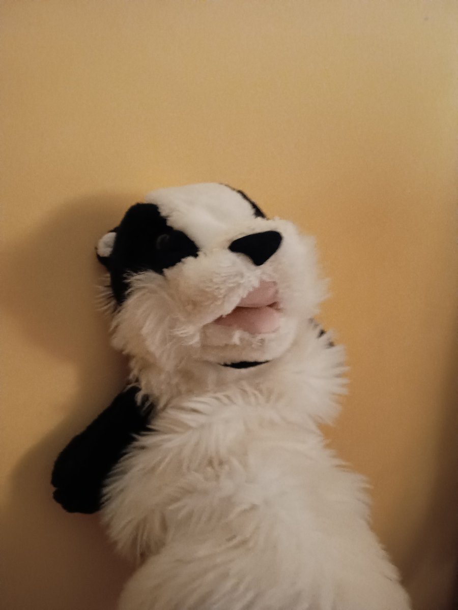 Hi everybody! It's been a WHILE since posted on here - I was being mischievous and hiding from my humans for a while 🤭