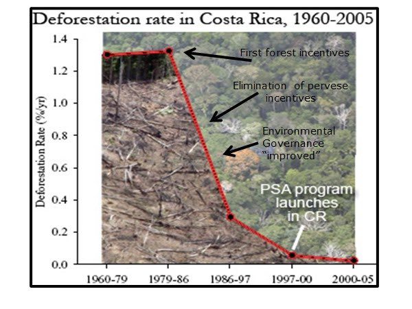 On forest day it is important to review Costa Rica’s impressive restoration of forest and biodiversity. 3 main reason: phase out perverse incentives, good governance and the payment for environmental services.