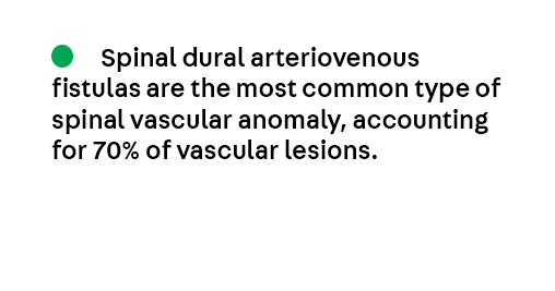 Key Point 4 from the article Vascular #Myelopathies by Dr. Ashutosh Jadhav (@AshuPJadhav) from the February #SpinalCord Disorders issue, which is available to subscribers at bit.ly/49JBFWt. #Neurology #NeuroTwitter #MedEd