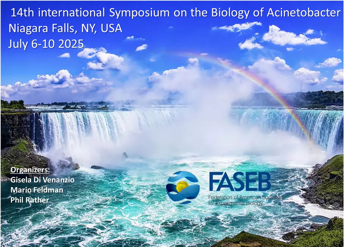 Excited to announce that the 14th International Acinetobacter conference (and first in North America!) will take place in Niagara Falls on July 6-10 2025 in collaboration with @FASEBorg. More info to follow. #FasebAcinetobacter