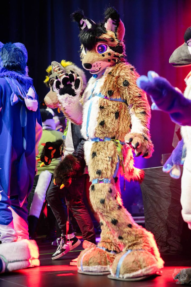 Lynx jump on stage at #NFC2024 Best 🎶 by @BeatBirb 💙💙 #FursuitFriday #furry #fursuiter #fursuit