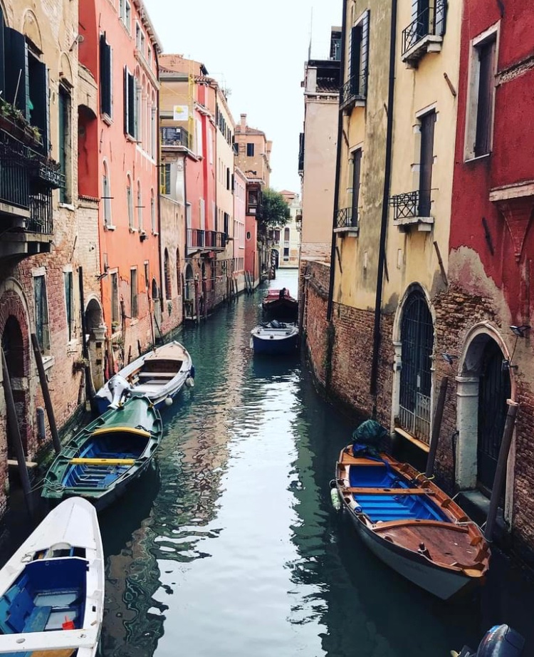 Zootografiando's tweet photo. RINCONES DEL MUNDO:
Venecia en 8 instantáneas
#venecia #venize #italia #italy https://t.co/tHS6pbiUqm