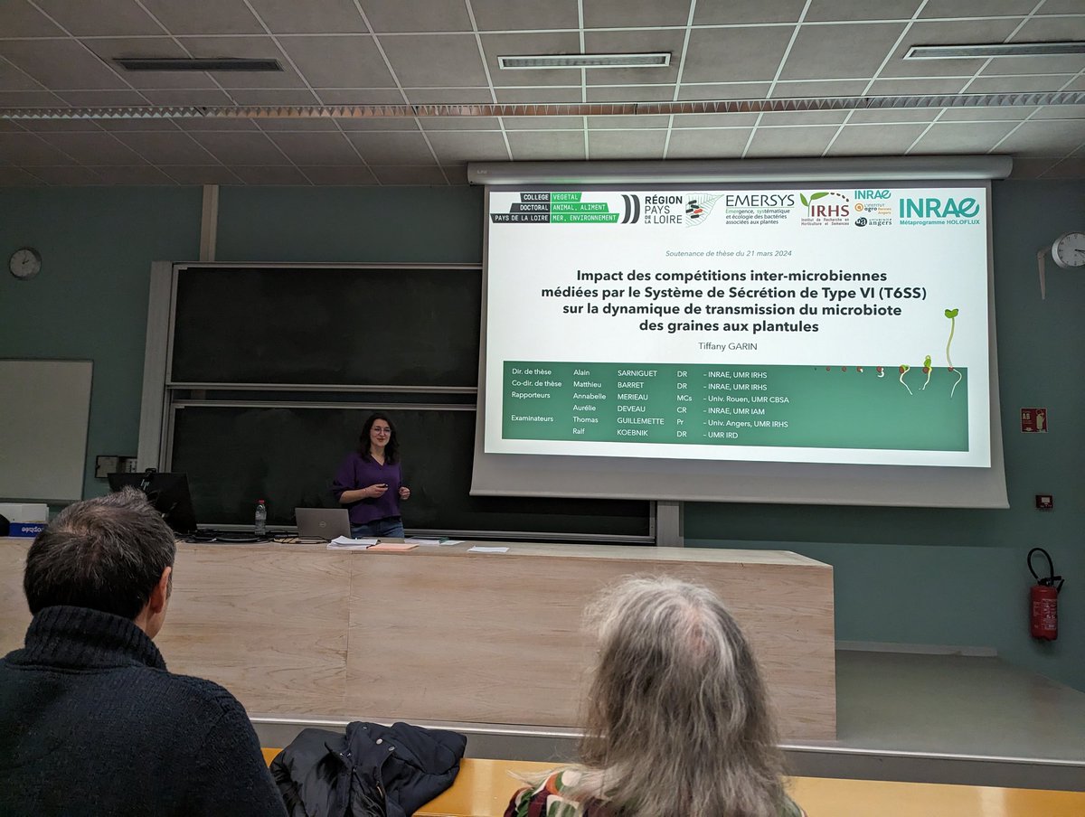 We have a new Doctor in the team! Congrats 🎉 to Dr @TiffyGrn for her fantastic research and defense on the impact of T6SS on seed microbiota assembly and transmission to seedlings 🍾💉🦠🌱 #Stenotrophomonas #Xanthomonas