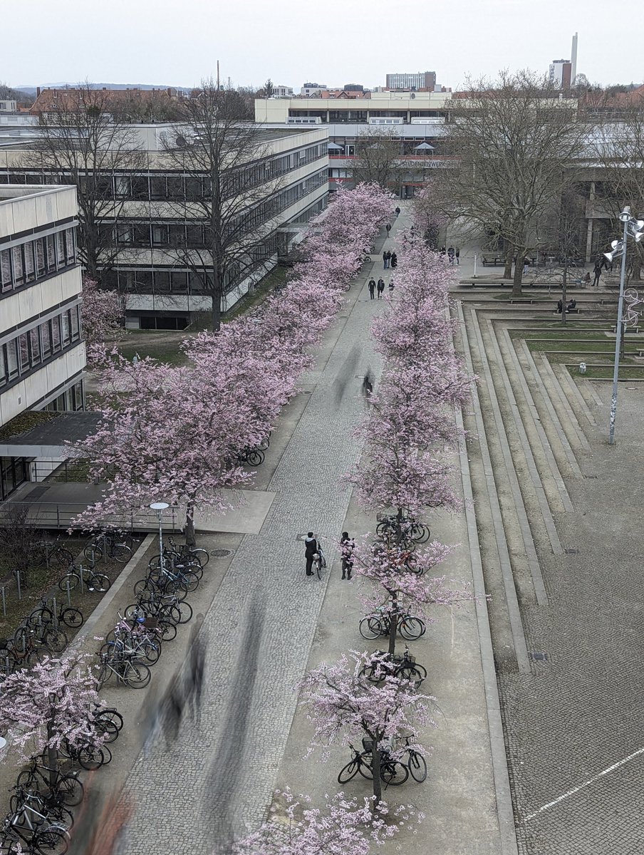 philippnie's tweet photo. It is this time of the year again.
@uniGoettingen #kirschpost https://t.co/Ygij3O4ZkJ