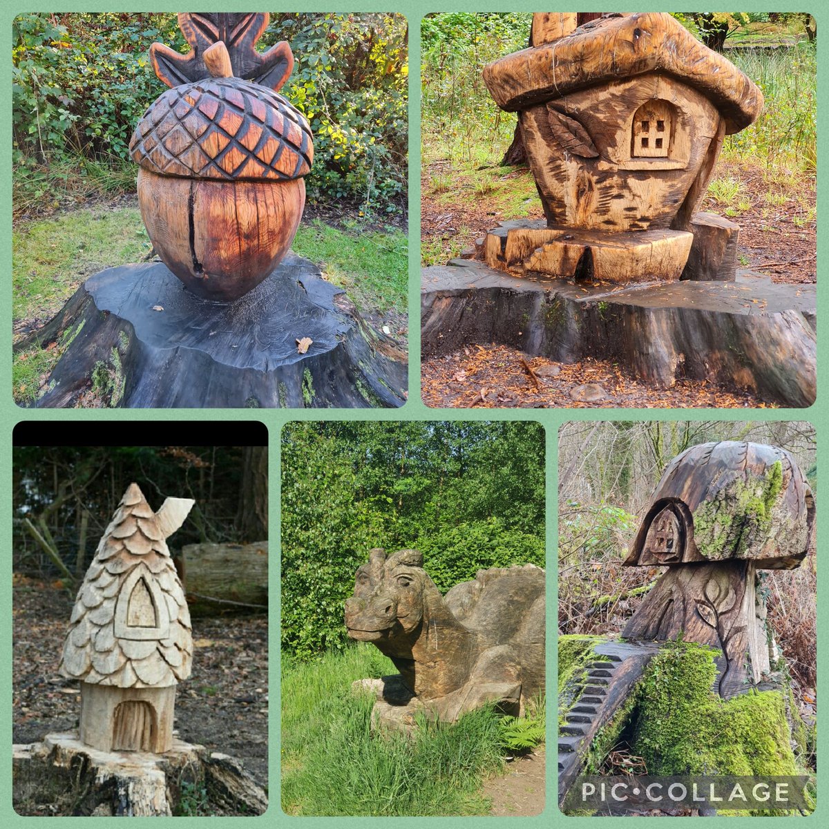 This week, children and families have participated in sponsored walks around Balloch Park! Searching for fairy houses🧚‍♀️, the dragon, a castle, and where in awe of the roots from a fallen down tree 🌳 #learningoutdoors #familyinvolvement