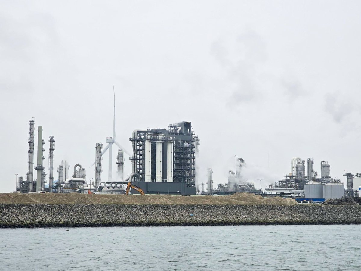 ResearchNB | RechercheNB tweet media