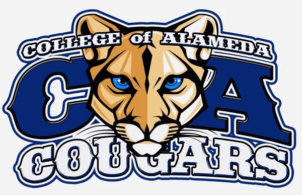 Dylan Felcman tweet media