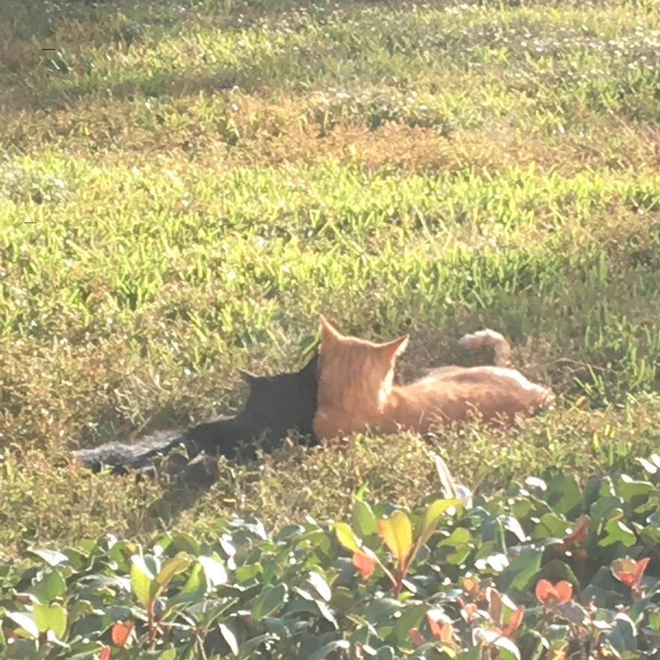 they r in love