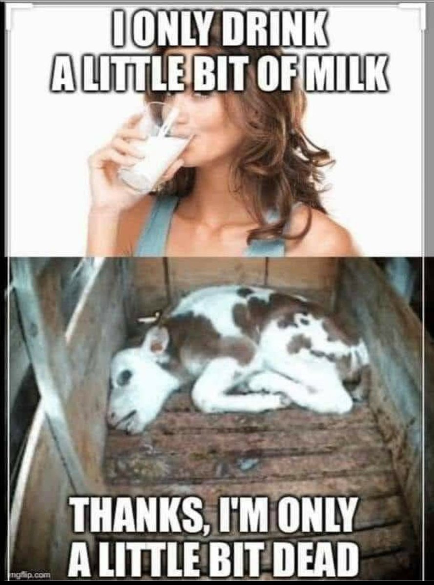 #milk #dairy #DairyIsScary