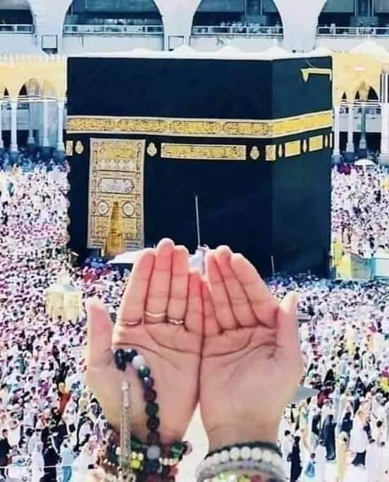 Sehrish_45's tweet photo. السلام علیکم 
صبح بخیر
اے ہمارے مہربان رب!!!
ہم کمزور اور خطا کار ہیں ہم تیری رحمت کے طلب گار ہیں ہم پر رحم فرما، ہمارے دانستہ اور غیر دانستہ گناہ معاف فرما، ہمیں خسارہ اٹھانے والوں میں نہ کر ہمارے دلوں کو ہدایت کے نور سے بھر دے...

آمین يارَبِّ العَالَمينَ https://t.co/mHMQwecGSc