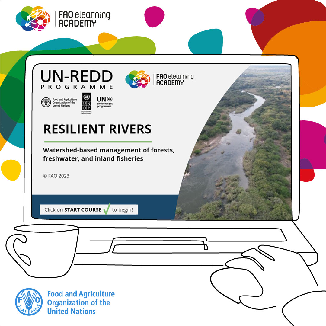 FAO Forestry (@faoforestry) on Twitter photo Take a free 3-hour certified course with <a href="/FAO/">Food and Agriculture Organization</a>’s elearning Academy!
Resilient rivers: Watershed-based management of forests, freshwater, and inland fisheries.
👉🏾 bit.ly/45wGkbN
#WaterForPeace #WorldWaterDay #WaterAction
@UNREDD <a href="/CIFOR/">CIFOR</a> <a href="/WorldFishCenter/">WorldFish</a> <a href="/fhumedales/">Fundación Humedales</a> Take a free 3-hour certified course with <a href="/FAO/">Food and Agriculture Organization</a>’s elearning Academy!
Resilient rivers: Watershed-based management of forests, freshwater, and inland fisheries.
👉🏾 bit.ly/45wGkbN
#WaterForPeace #WorldWaterDay #WaterAction
@UNREDD <a href="/CIFOR/">CIFOR</a> <a href="/WorldFishCenter/">WorldFish</a> <a href="/fhumedales/">Fundación Humedales</a>