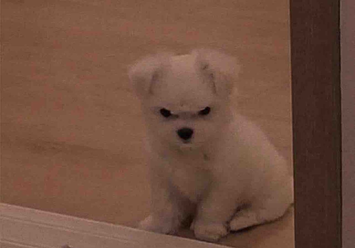 Yo terminando un correo:
Quedo pendiente
Saludos cordiales

Como realmente estoy: