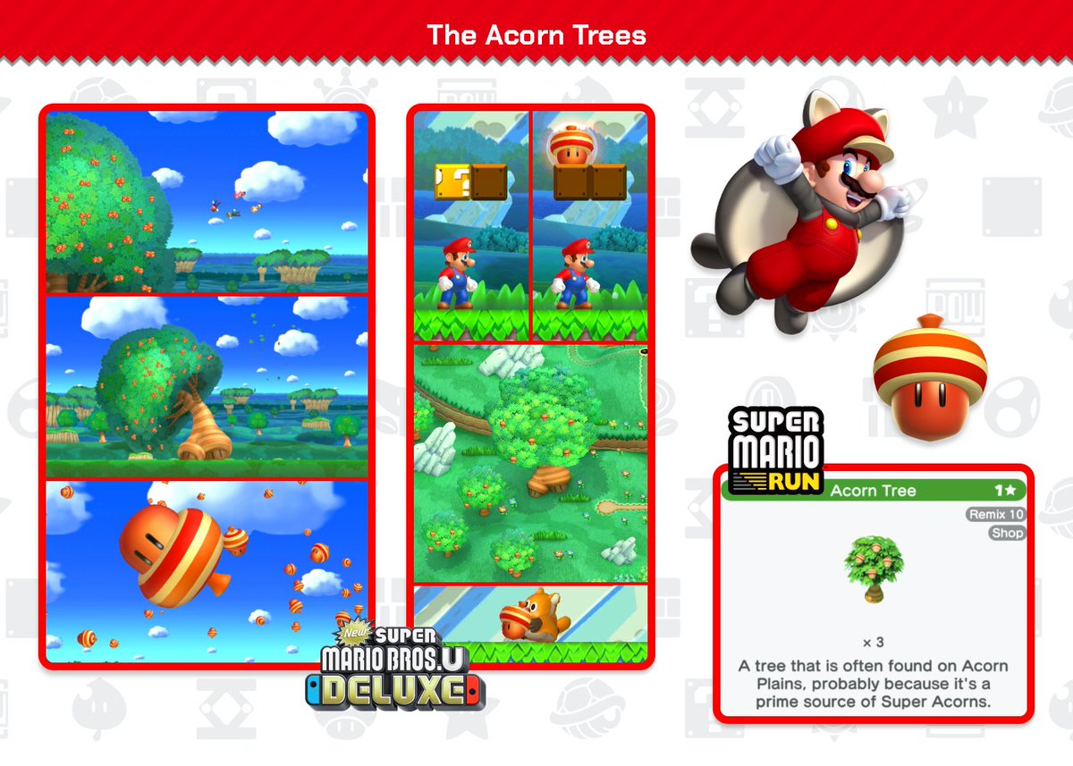 Fact: Super Acorns grow on the Acorn Trees which can be found commonly in Acorn Plains to the west of Peach's Castle. 

In New Super Mario Bros. U, Mario and his friends collided with a large Acorn Tree, resulting in Super Acorns being spread across the Mushroom Kingdom.