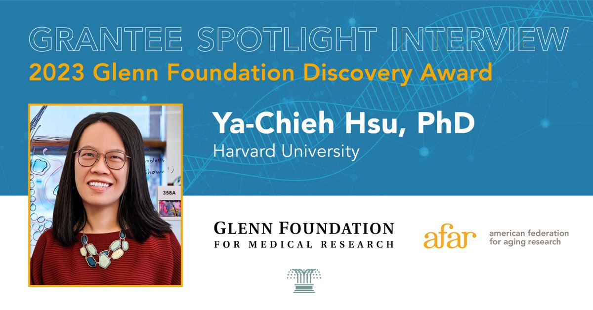 In this #Grantee Spotlight Interview, 2023 Glenn Foundation Discovery Award recipient Ya-Chieh Hsu, PhD, of @Harvardmed discusses what inspires her AFAR-supported #research. Read here: afar.org/grantee-spotli… #aging #grantee #healthspan