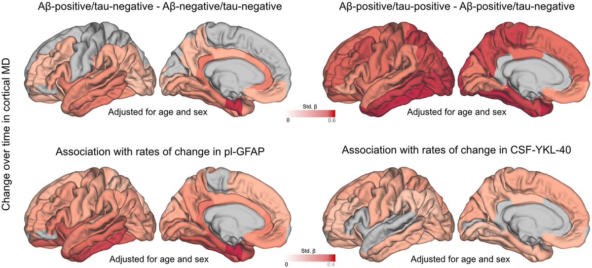 Spotorno et al. show that cortical mean diffusivity, a measure of cortical microstructure derived from diffusion MRI, can track disease progression on the AD continuum and could thus be a promising outcome measure in trials. tinyurl.com/mp4ewhzn; tinyurl.com/y7mramrh