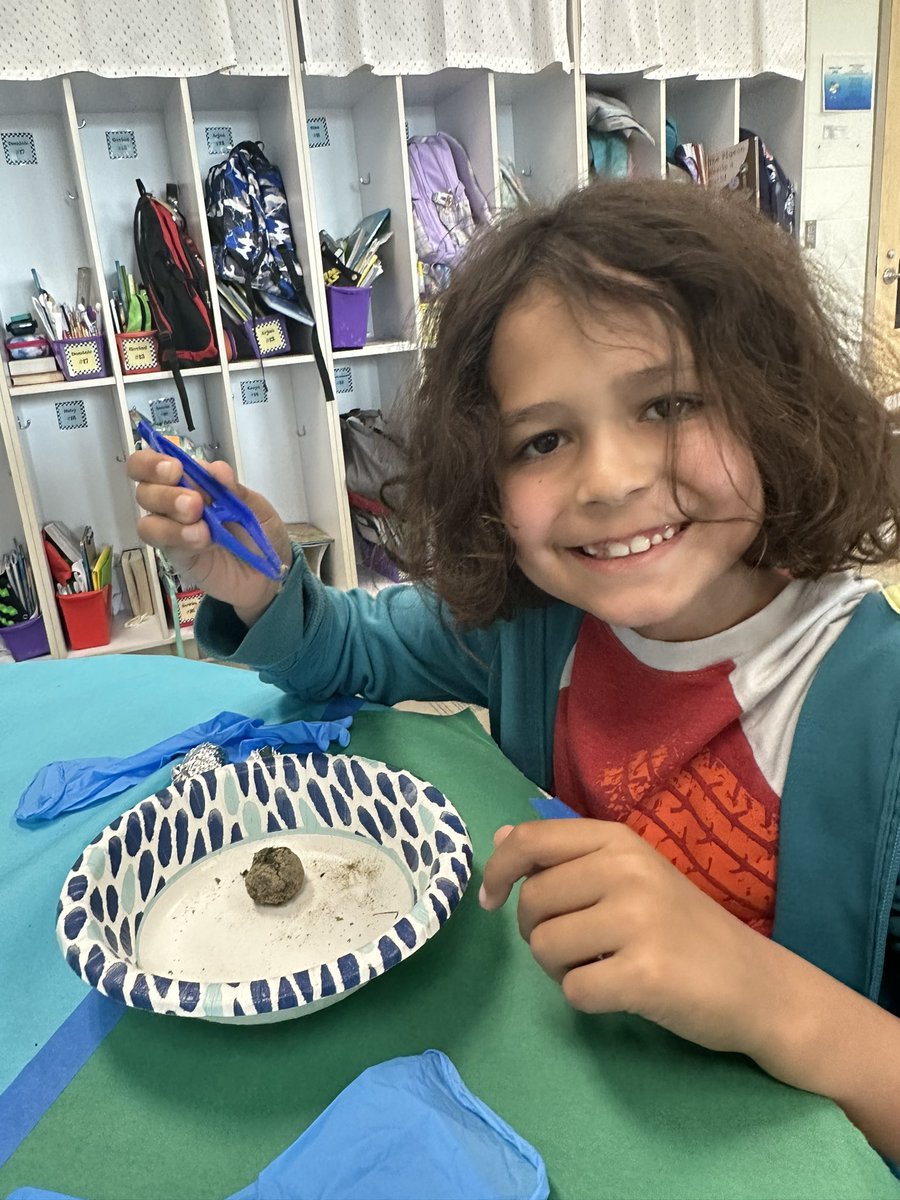 Rachel Burke tweet media