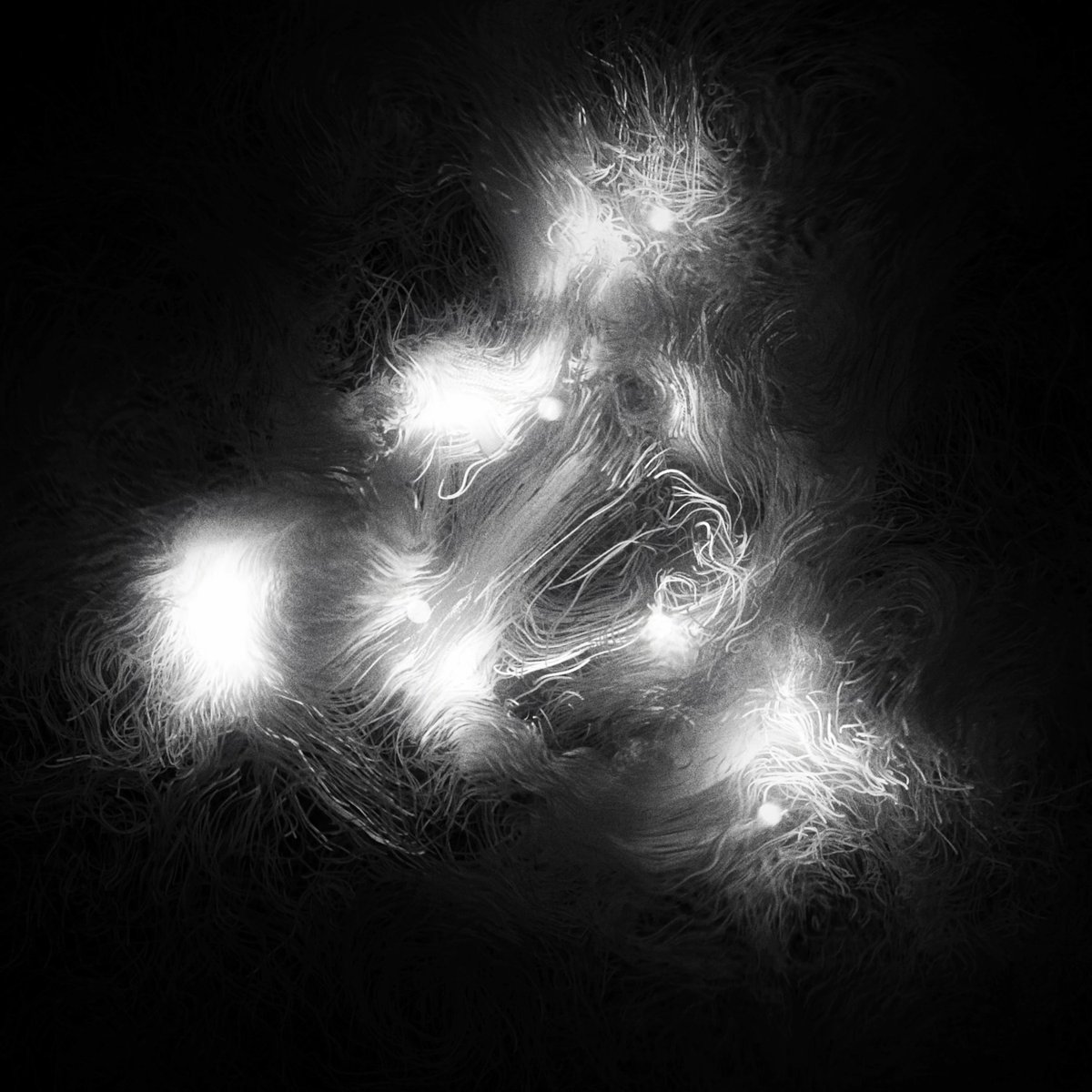 samuelpietri's tweet image. Electric vibe
#particles #simulation #touchdesigner #glsl #creativecoding #digitalart #generativeart #fluid #vfx #cgi