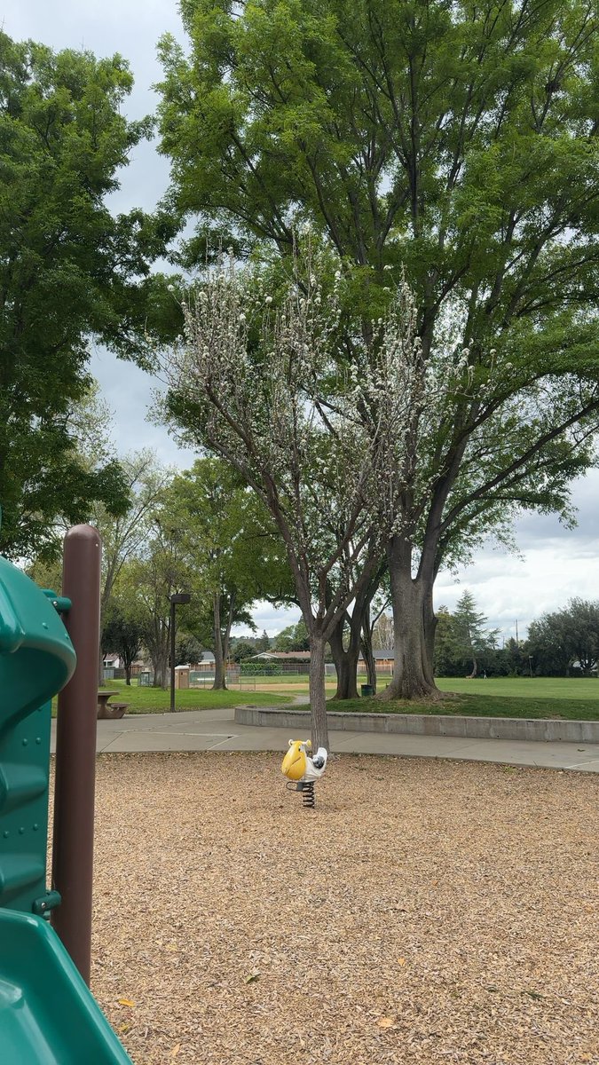 pbeebear's tweet photo. PBeeBear found #cubiecoin in a White vault at this location! Join me playing #cubieverse, It's awesome!   #17649909 https://t.co/jcc76Oscrw