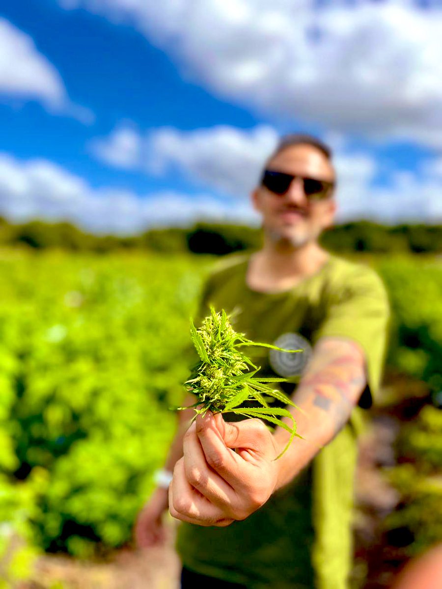 BrunoArenzo's tweet photo. Sos holder de @CryptocampoNet ?

Mirá lo hermoso que viene creciendo tu NFT 🚀🌿 https://t.co/NLMVsFiaER