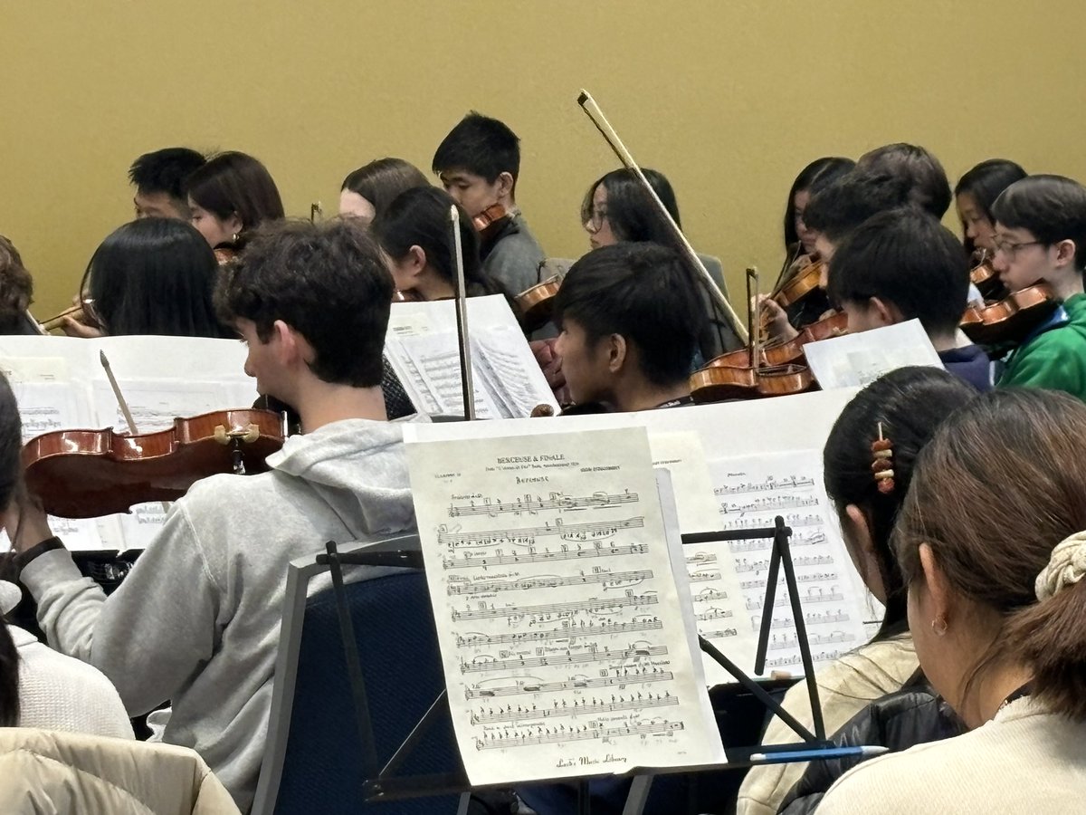 DSFPArts's tweet image. Junior Eric Liang is representing DS at the MMEA All State Orchestra! Bravo! @DSteachlearn @doversherbornhs
