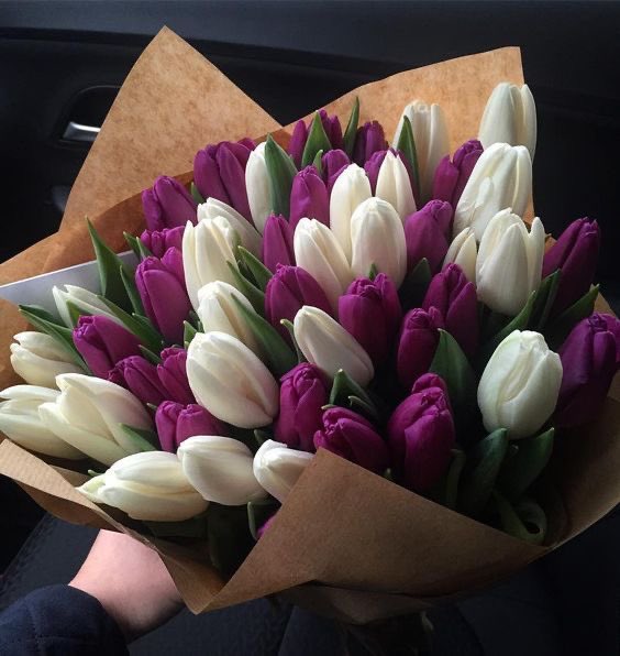 i3Moment's tweet photo. White &amp; Purple https://t.co/rTek3N5jda