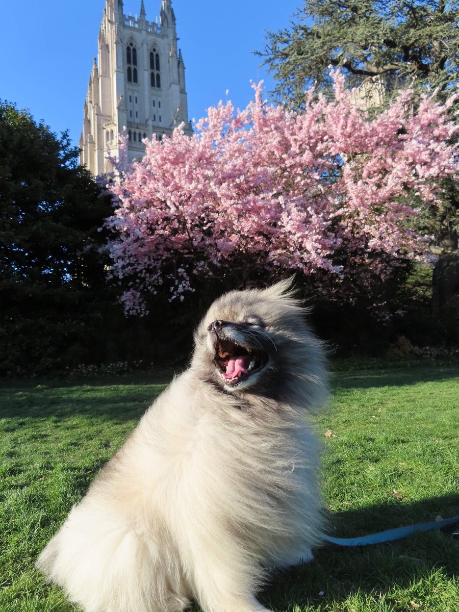 Dr. Jacqueline Robinson-Hamm tweet media