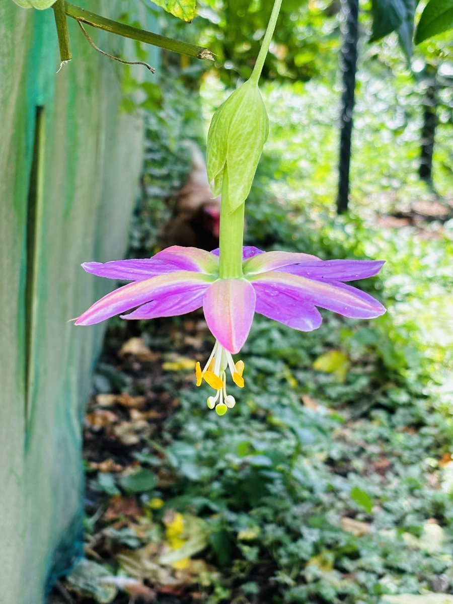 arbaraibar's tweet photo. Así me traes, prro…

#SpringFall
#YaParaleAlSpamDeFotos https://t.co/kL3egeHmhI