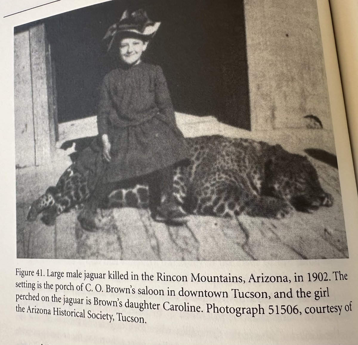 Large male jaguar killed in the Rincon Mountains, Arizona, in 1902. The setting is the porch of C. O. Brown's saloon in downtown Tucson, and the girl perched on the jaguar is Brown's daughter Caroline.
